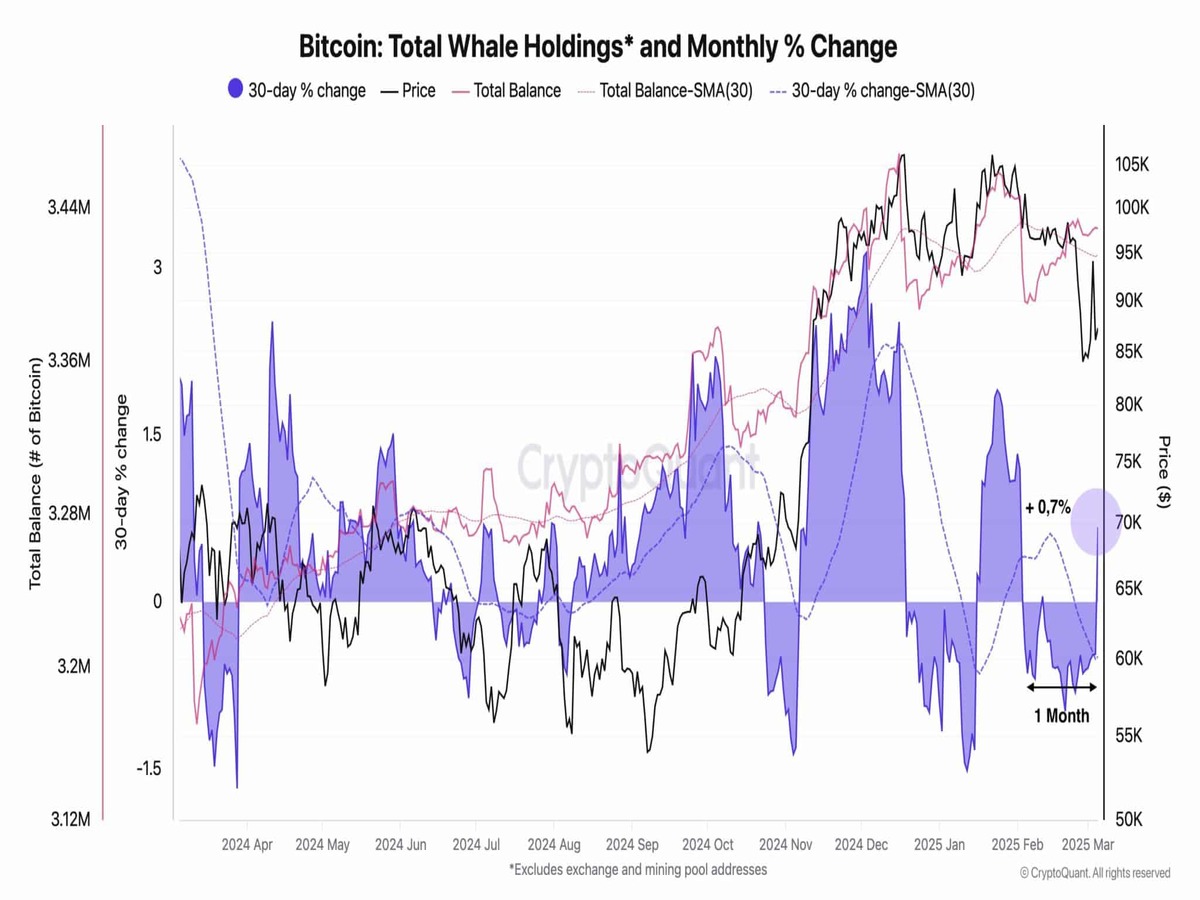 Bitcoin Market Shows Strength Amid Whale Accumulation 