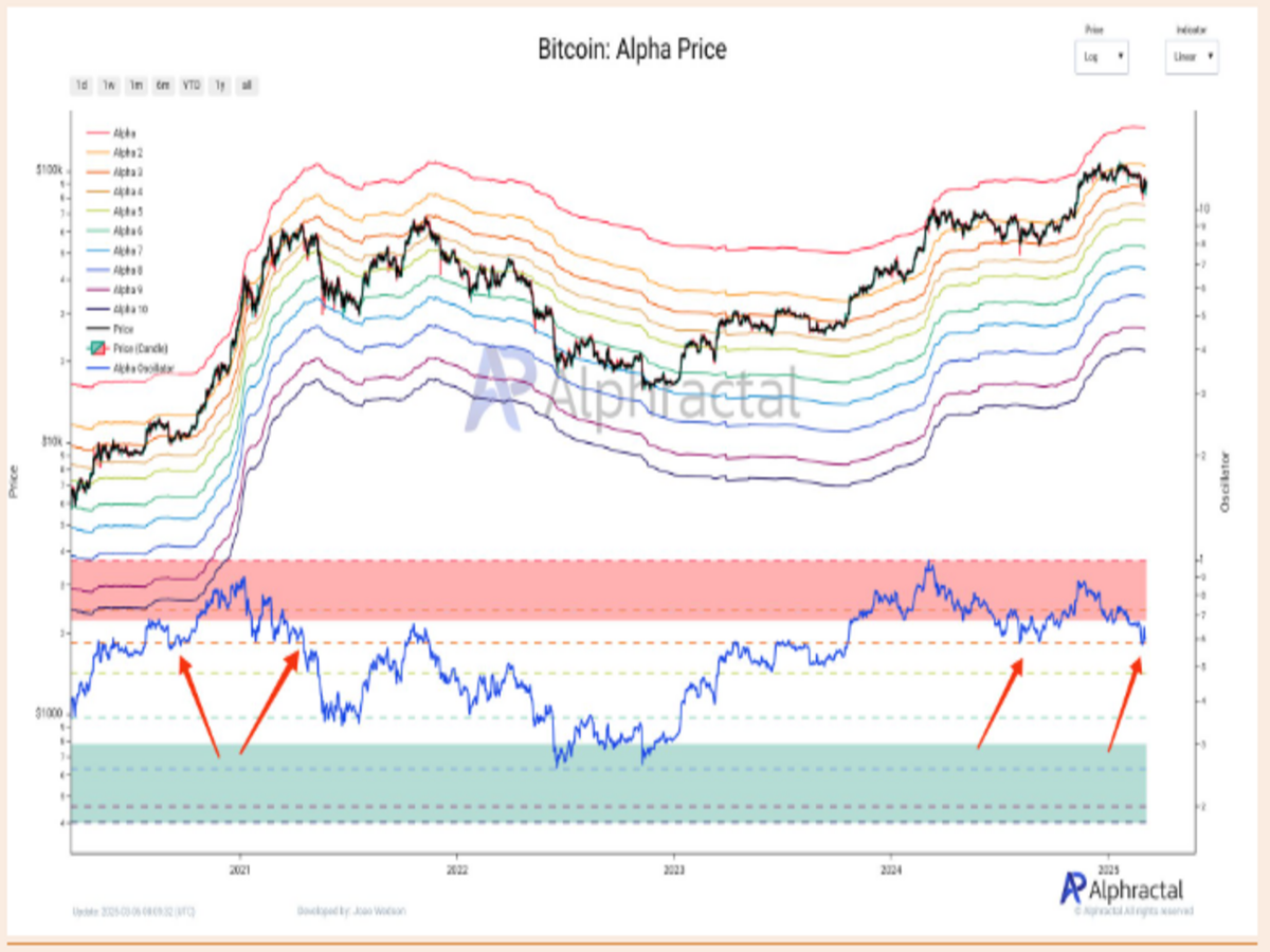 Bitcoin Market Shows Strength Amid Whale Accumulation 