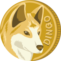 Курс DINGO