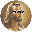 Курс JESUS