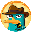 Курс PERRY